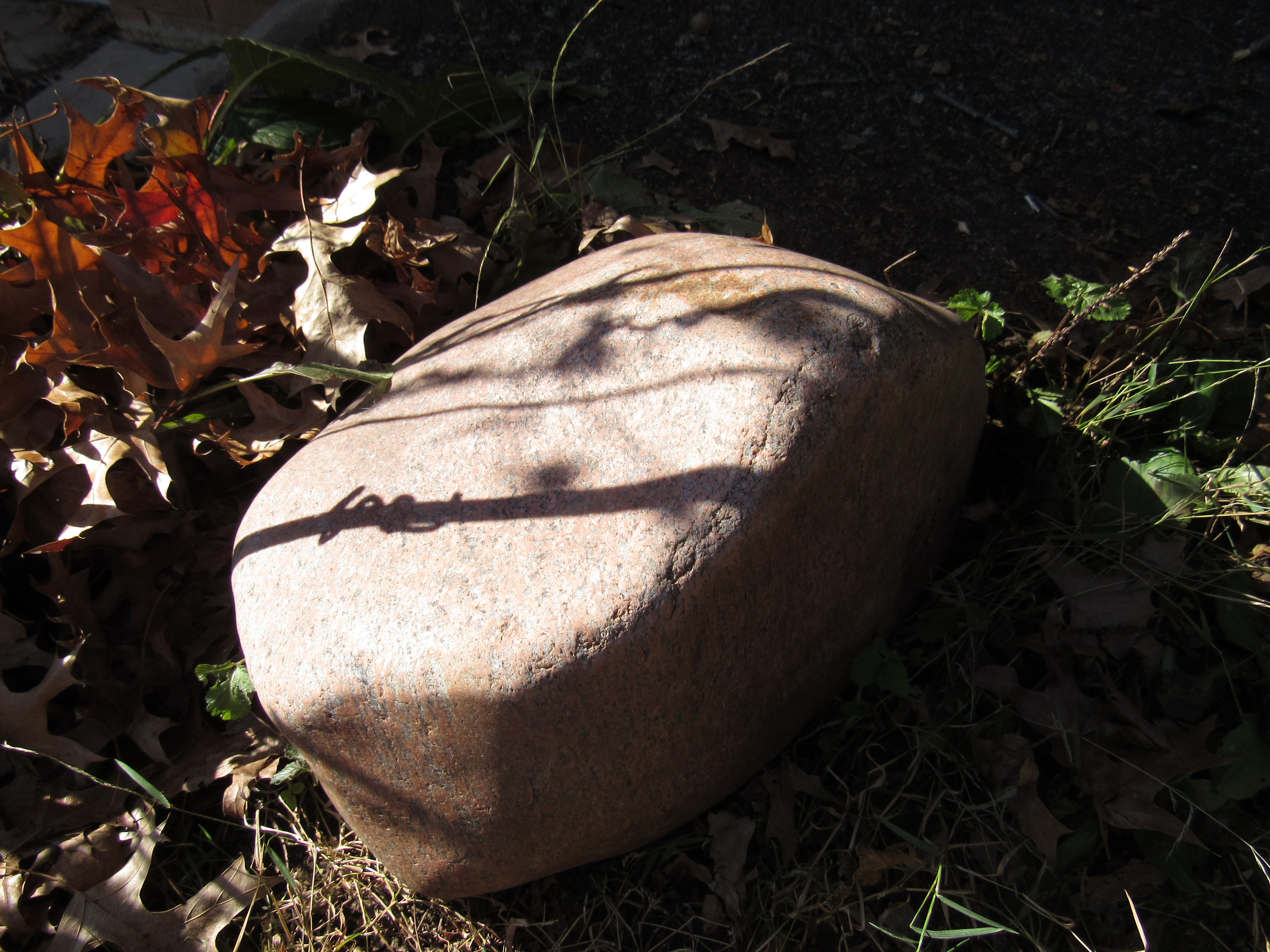 Pink granite rock in garden