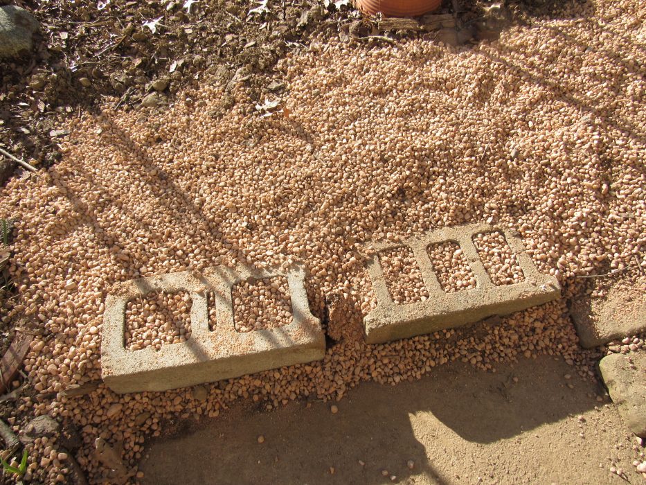 Photo of backyard drainage project