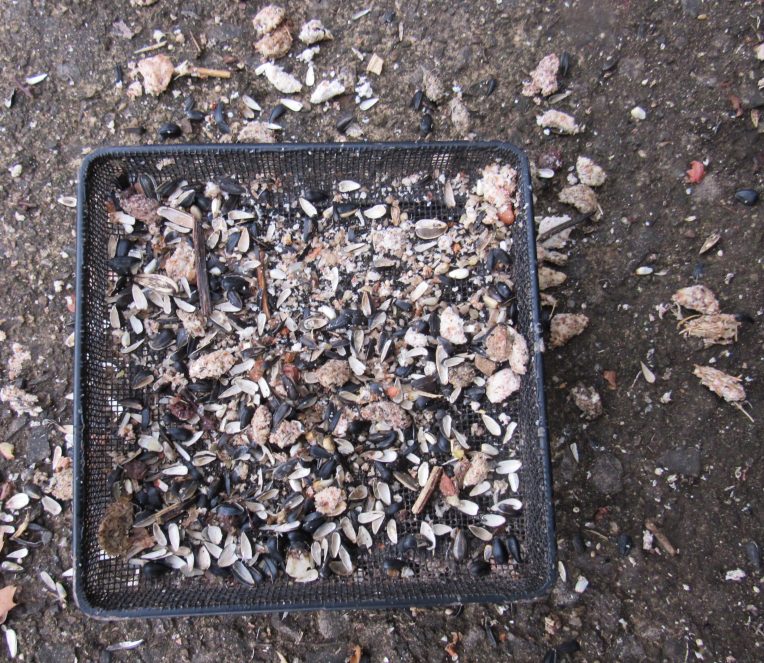 Photo of owl pellets in bird feeder