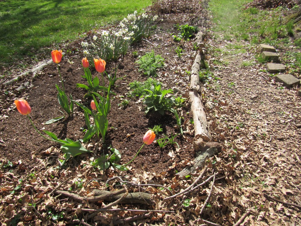 Photo of backyard flower bed