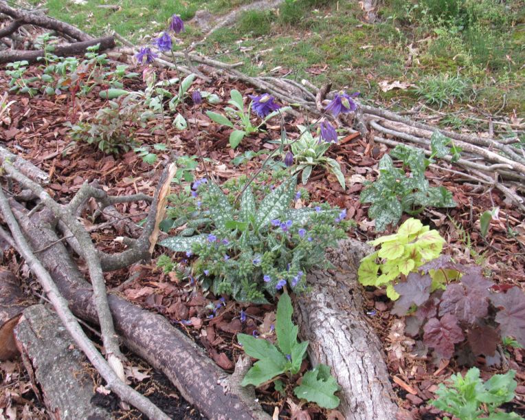 Photo of a hugel bed with logs showing, mulch, and plants