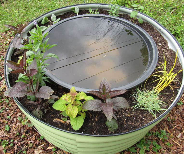Photo of small tub pond and surrounding plants
