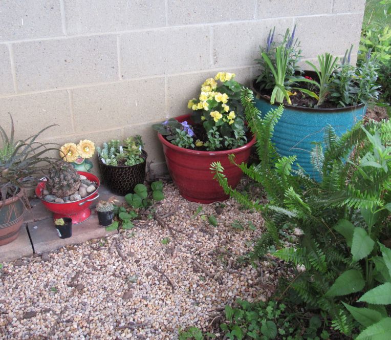 Photo of garden containers along a garage all