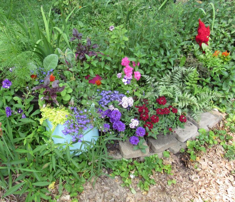 Photo of container planting mingled among plants rooted in ground