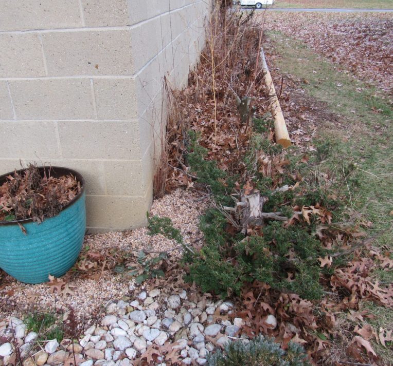 Photo of new garden bed beside garage
