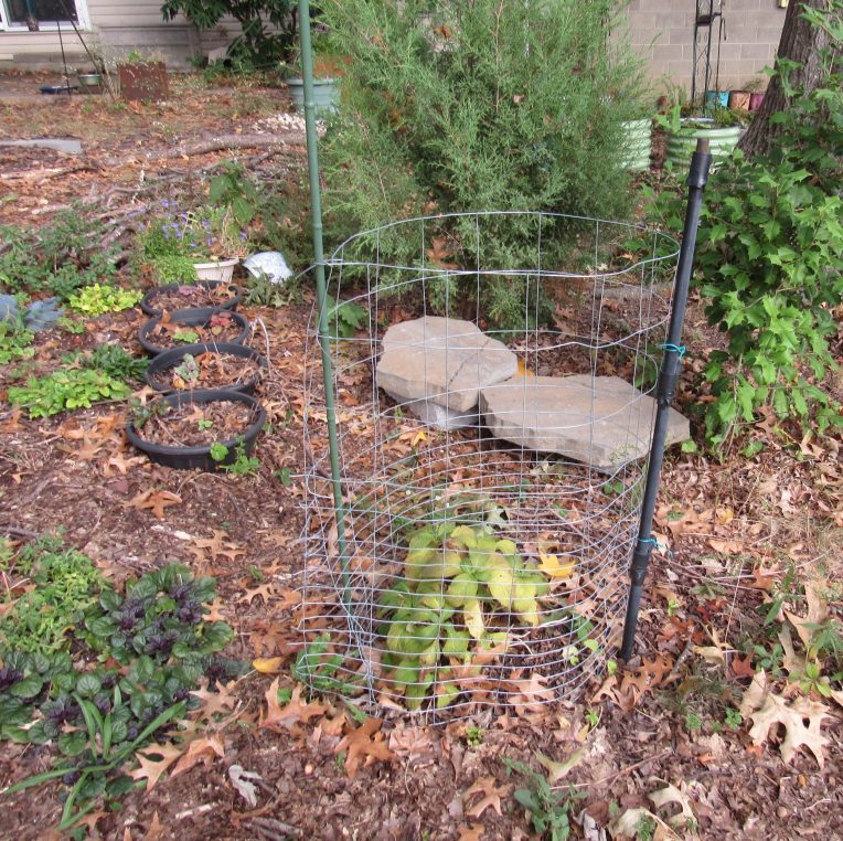 Photo of landscaping stones