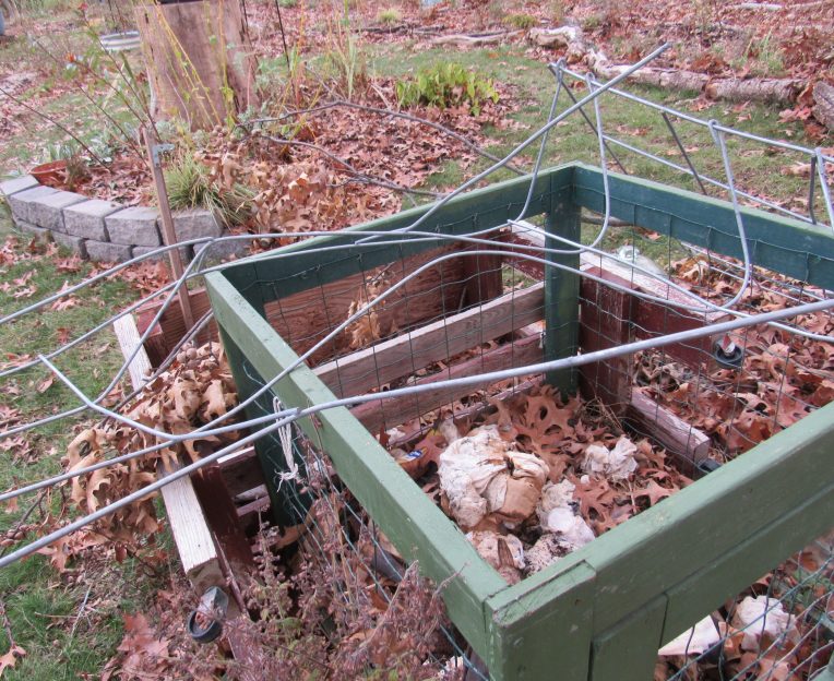 Photo of a wire tomato ladder that has been twisted and destroyed by a deer